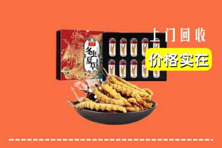 龙文区回收冬虫夏草